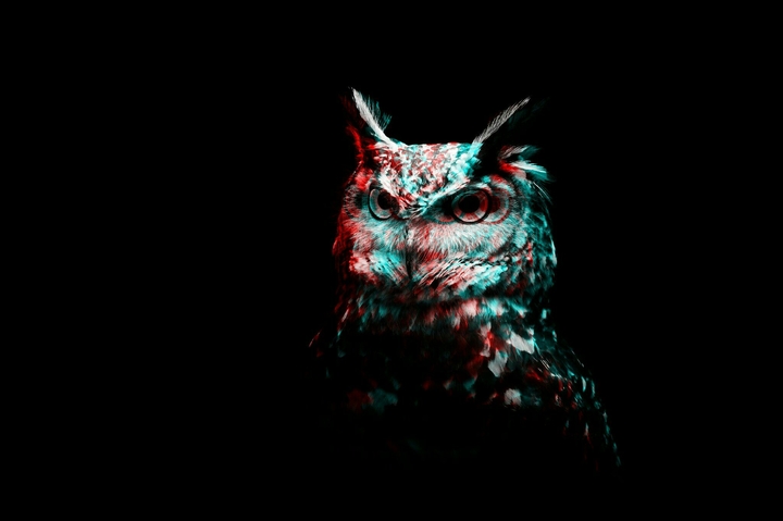 3D Owl