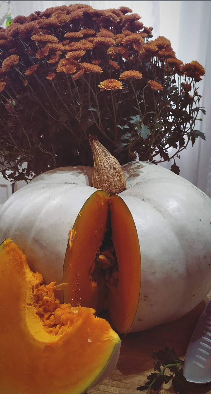 autumn taste