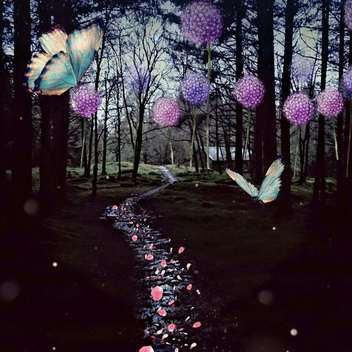 Good night