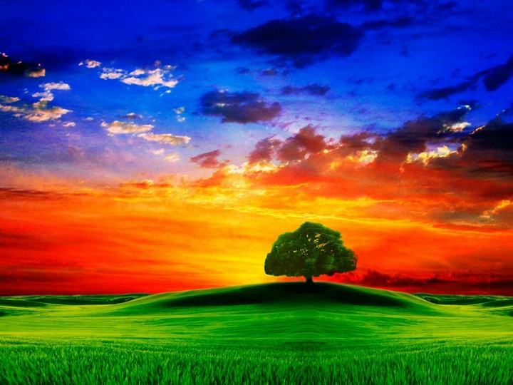 #I love nature