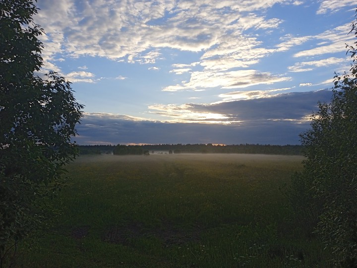 fog
