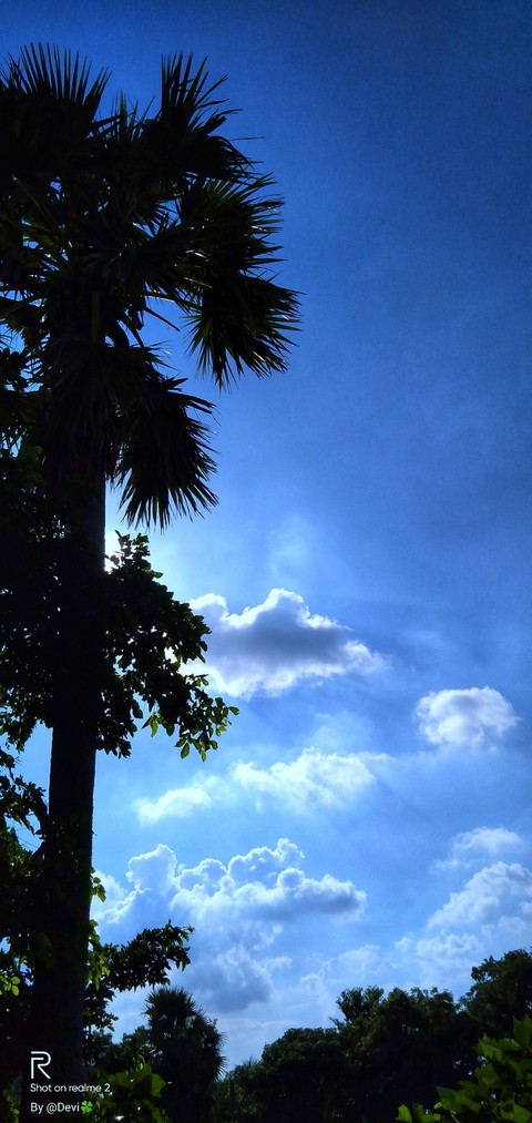 sunshine
