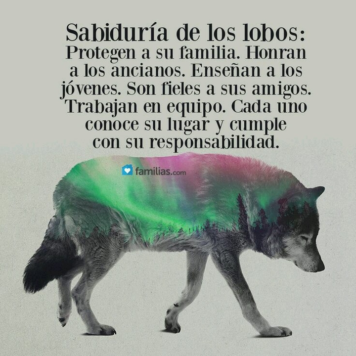 anónima