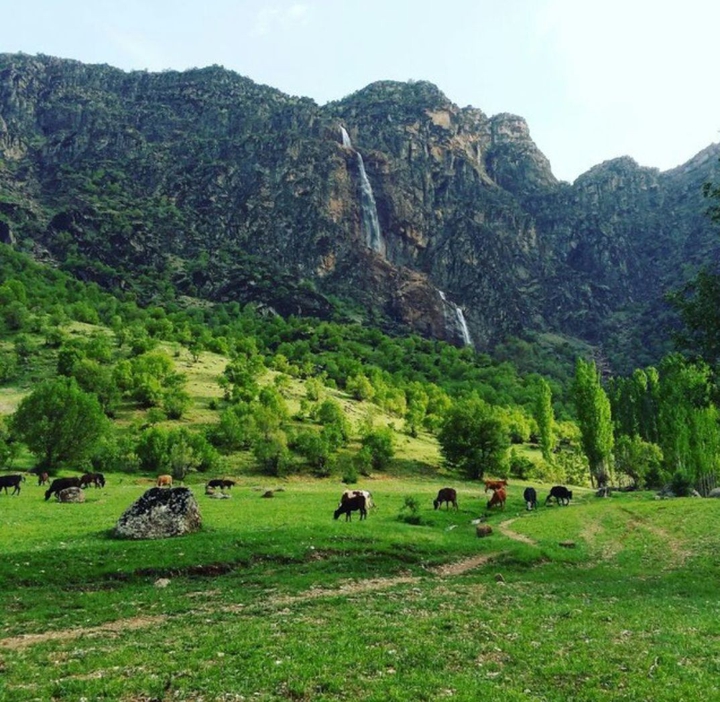 Iran