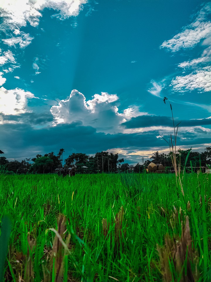 নদীর পার