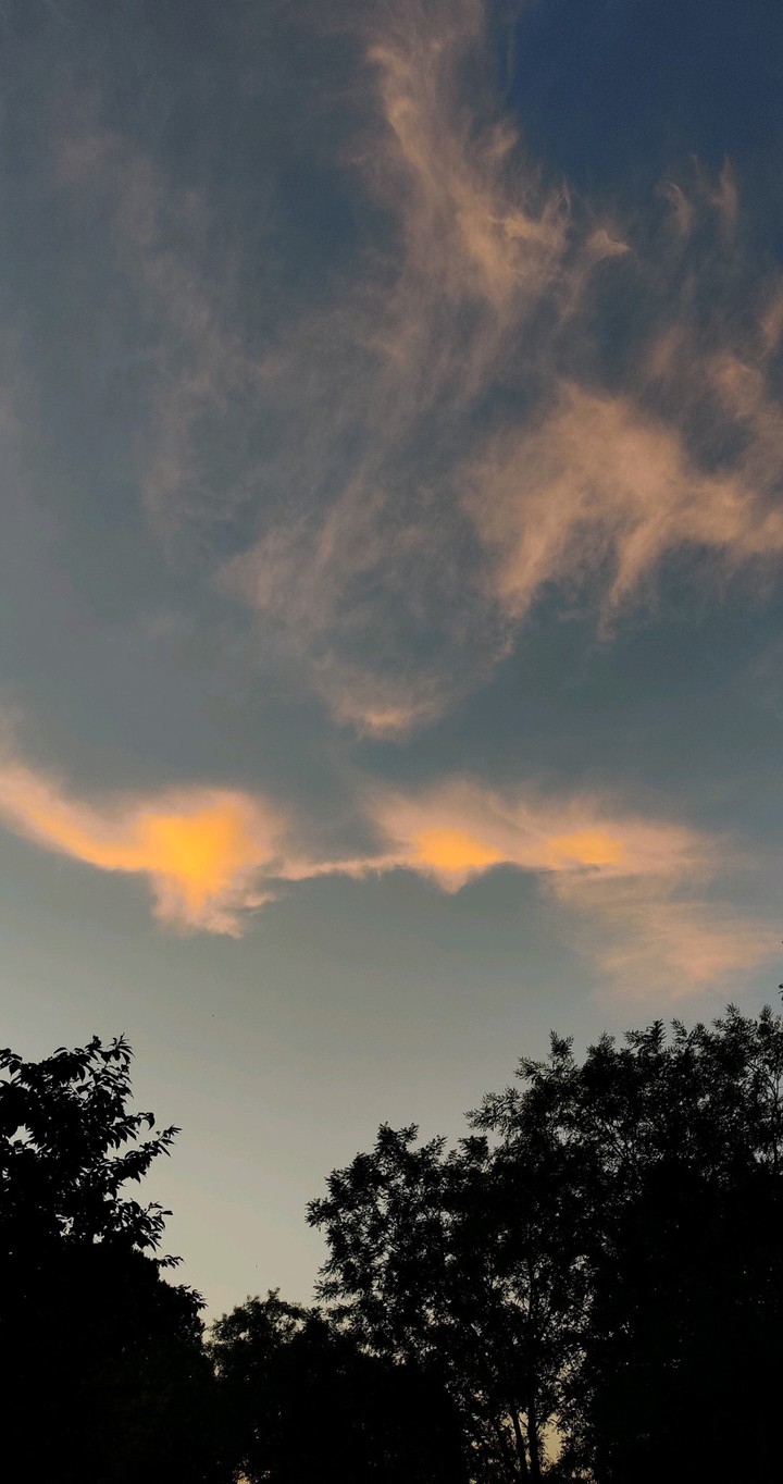 The sky