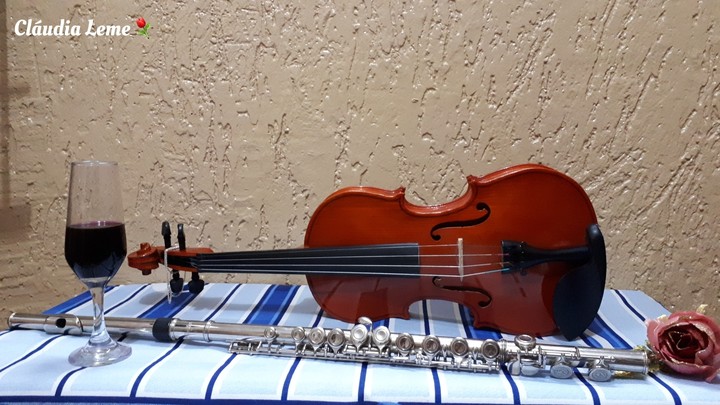 Violino