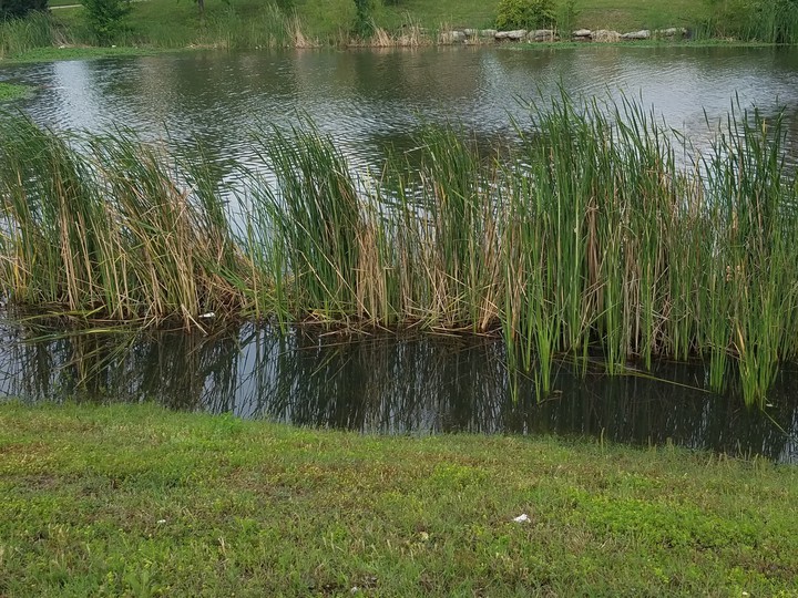 An Okie Waterway