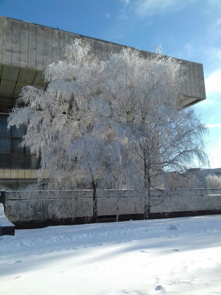 snow day