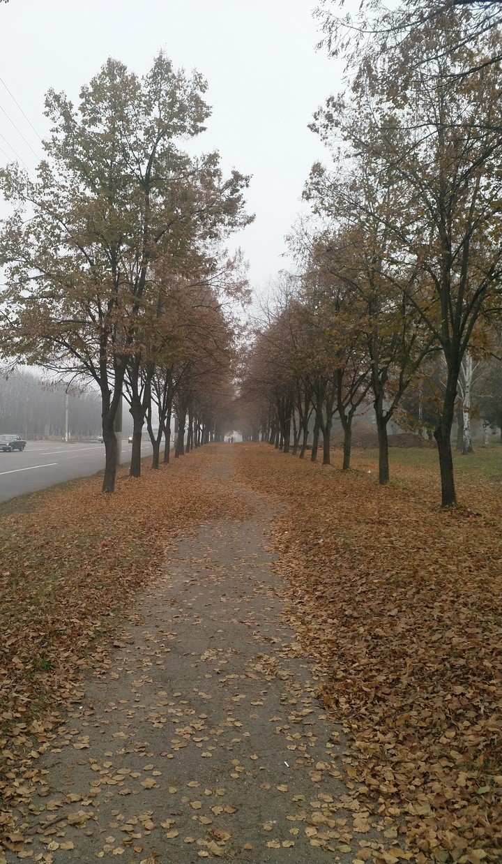 Autumn