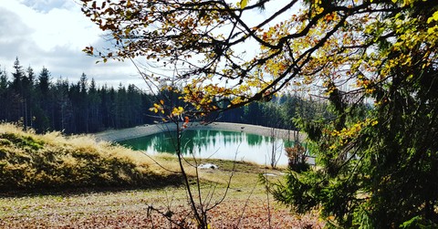 Bergsee