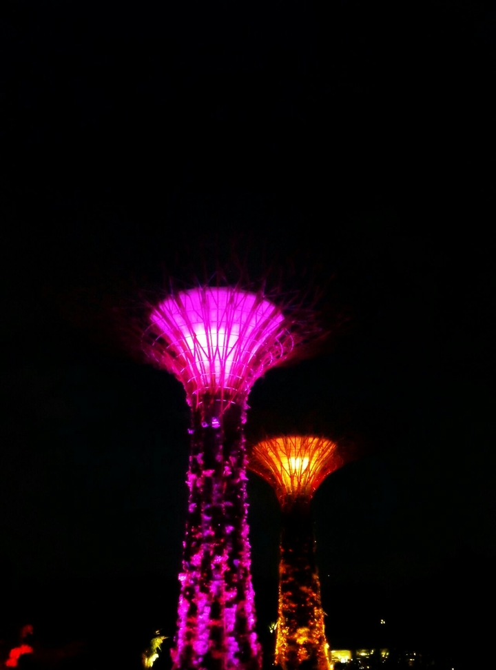 Gardens By The Bay