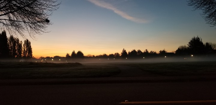 Early Morning