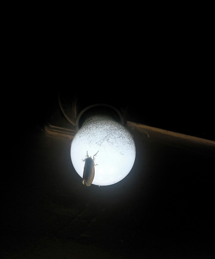 light...