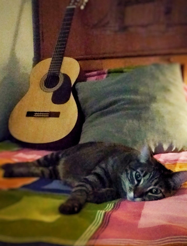 Music love