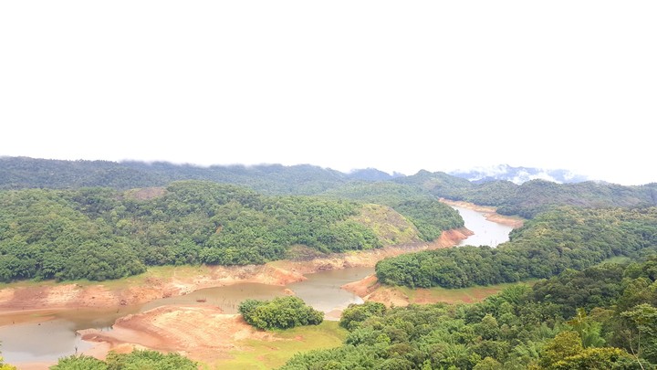 forest reservoir