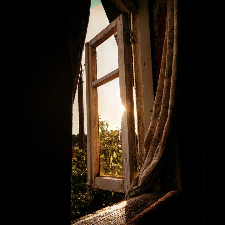 wood window