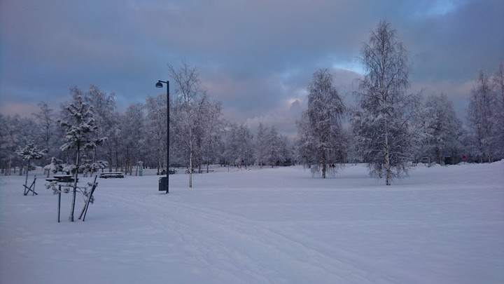 winter