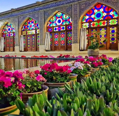 window, flower壁纸