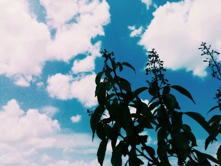 The beauty of nature