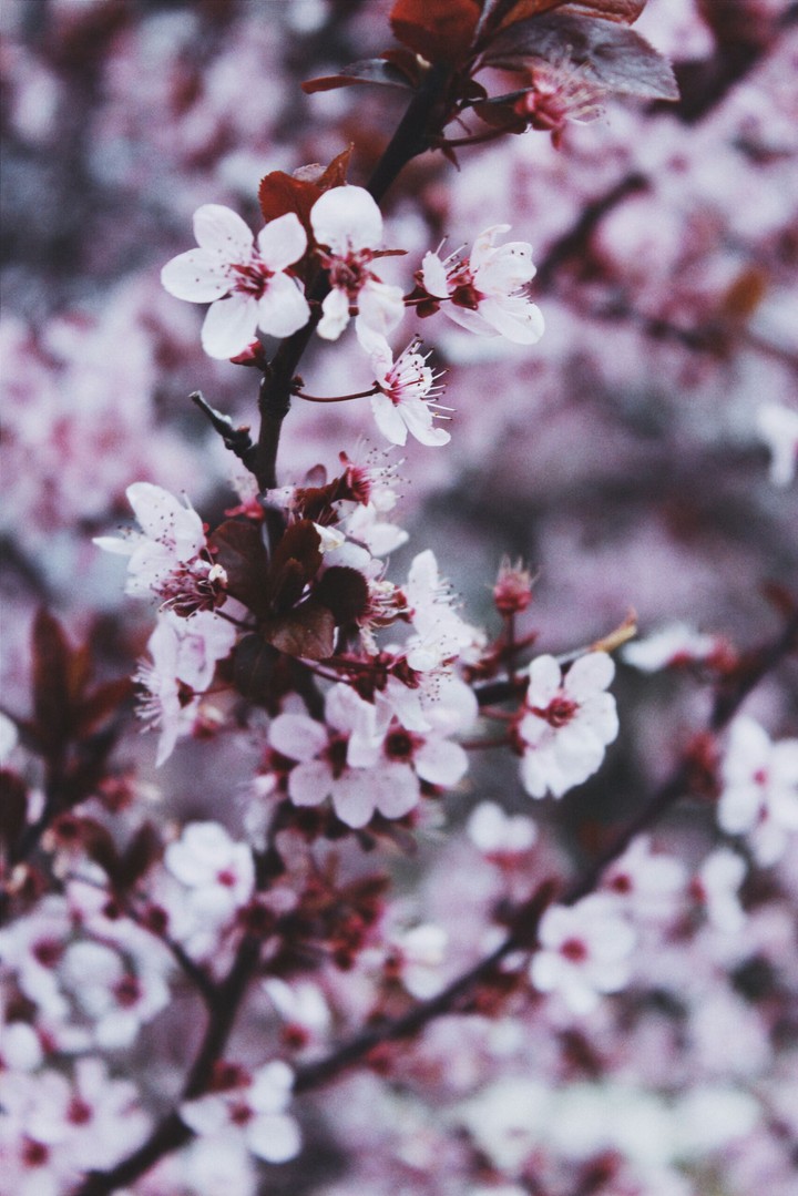 Spring 