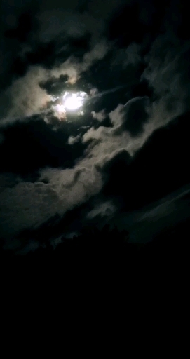 Cielo nocturno