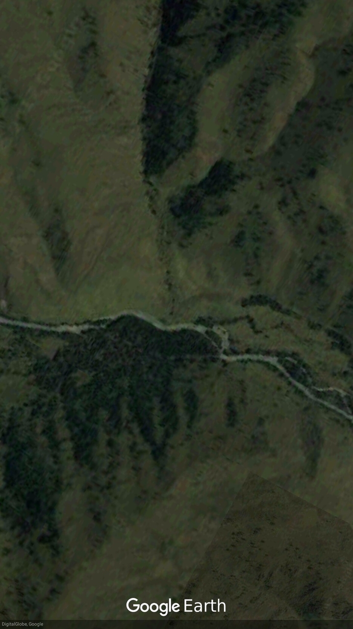 курч