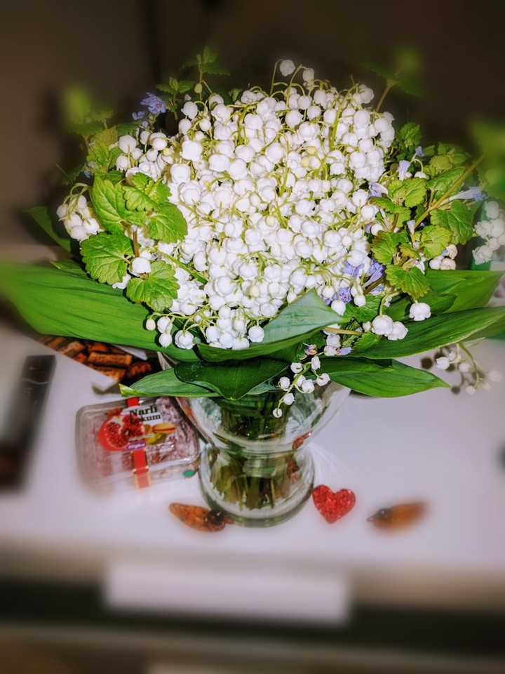 Ландыши (Convallaria)