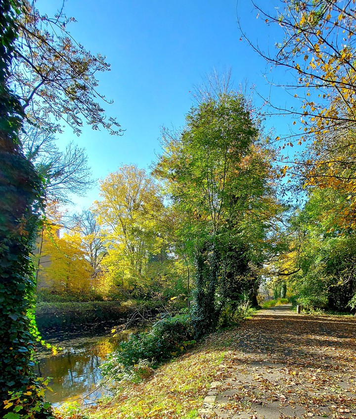 Herbstspaziergang