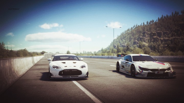 Race