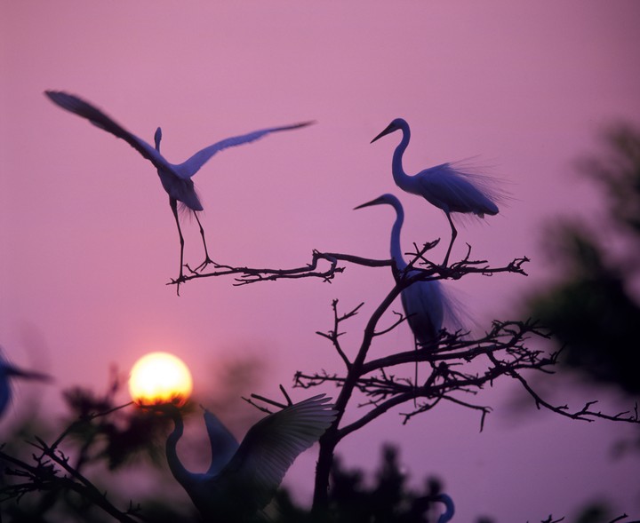 Nature