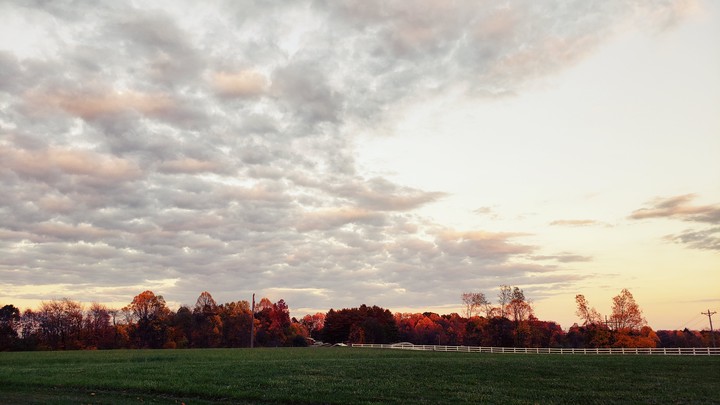 Fall