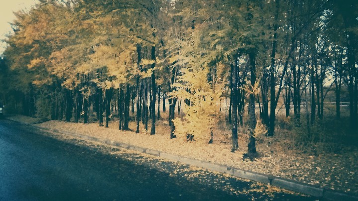 Красота природы