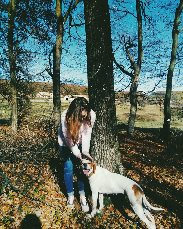 doggy time