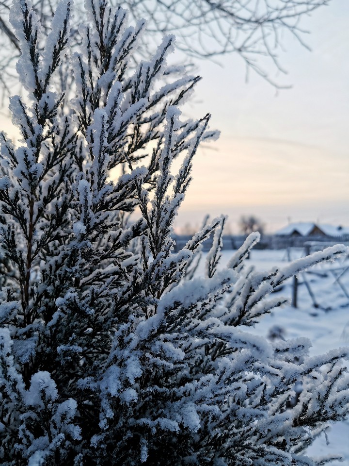 winter in village