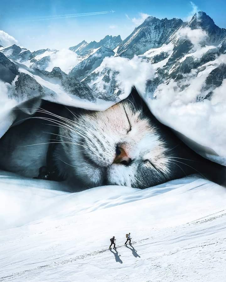 ...