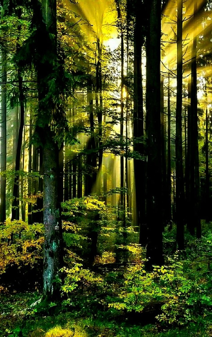⛰☘⛰☘✨✨✨✨⛰☘⛰☘✨✨✨