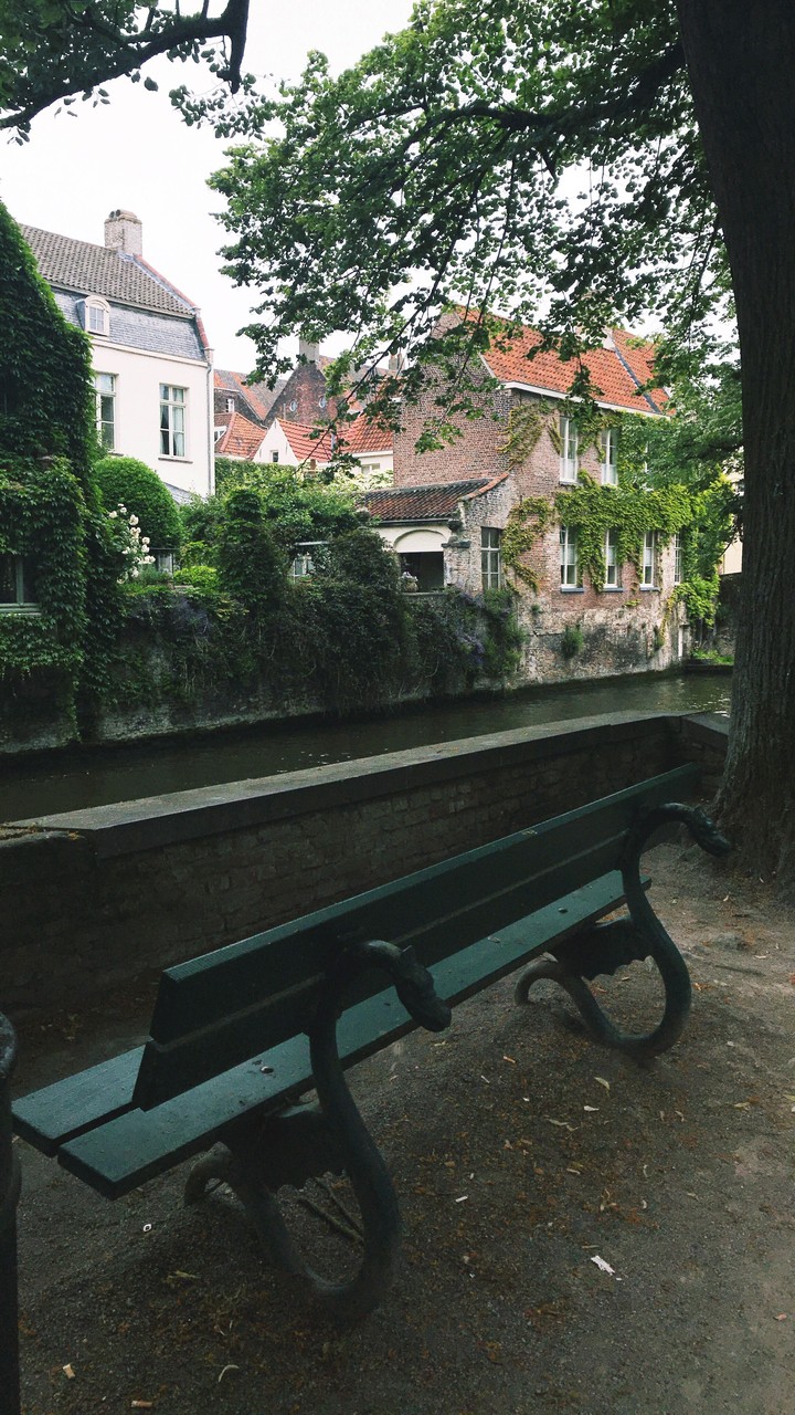 Lonely Lonely Bench