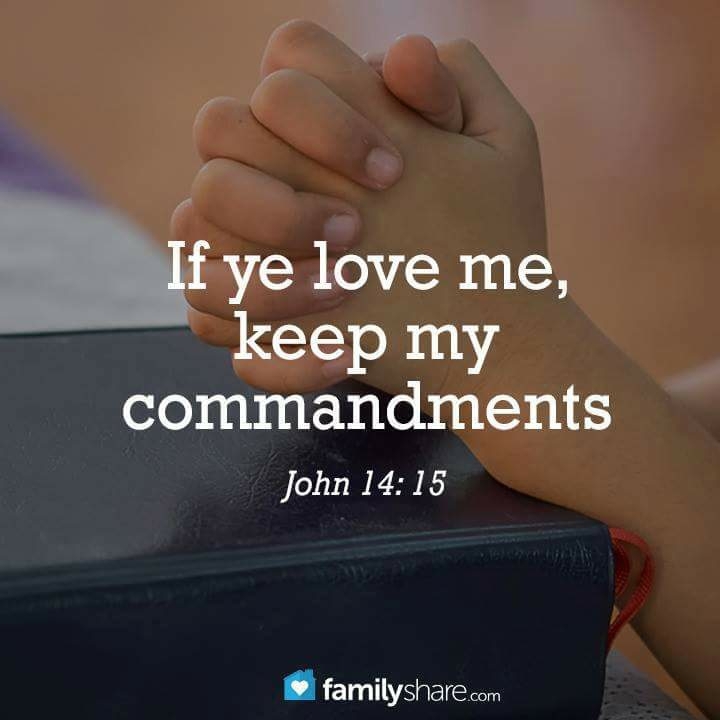 Bible Verse John 14:15