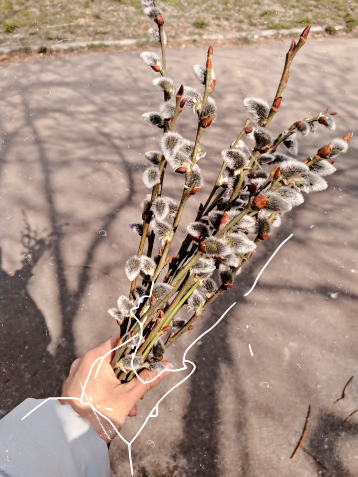 spring