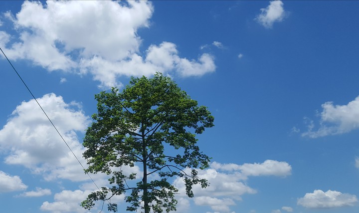 nature