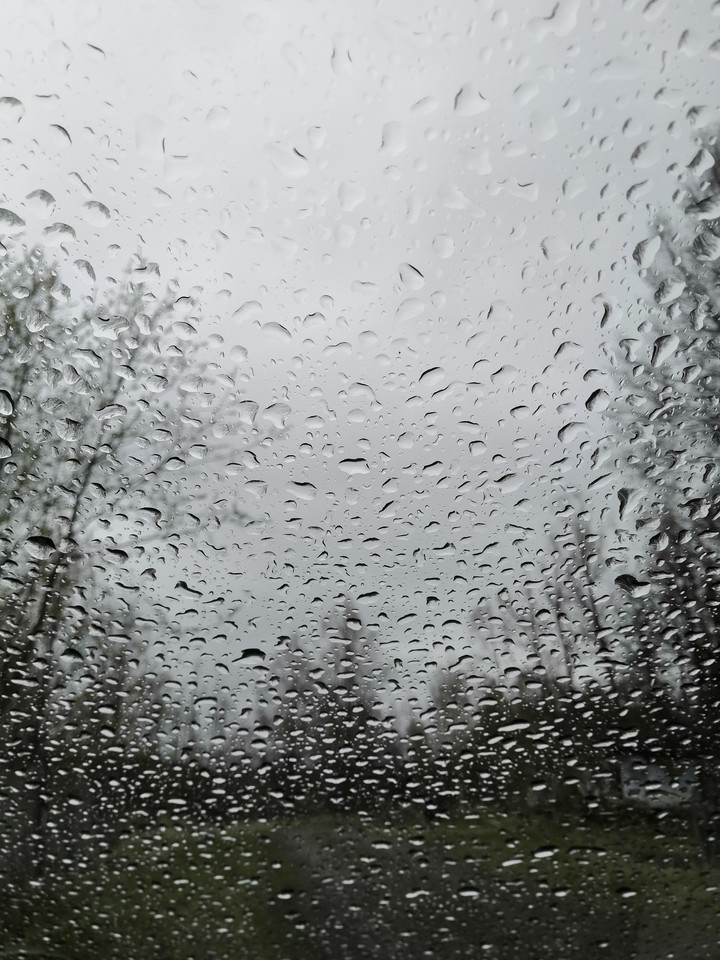 Rain