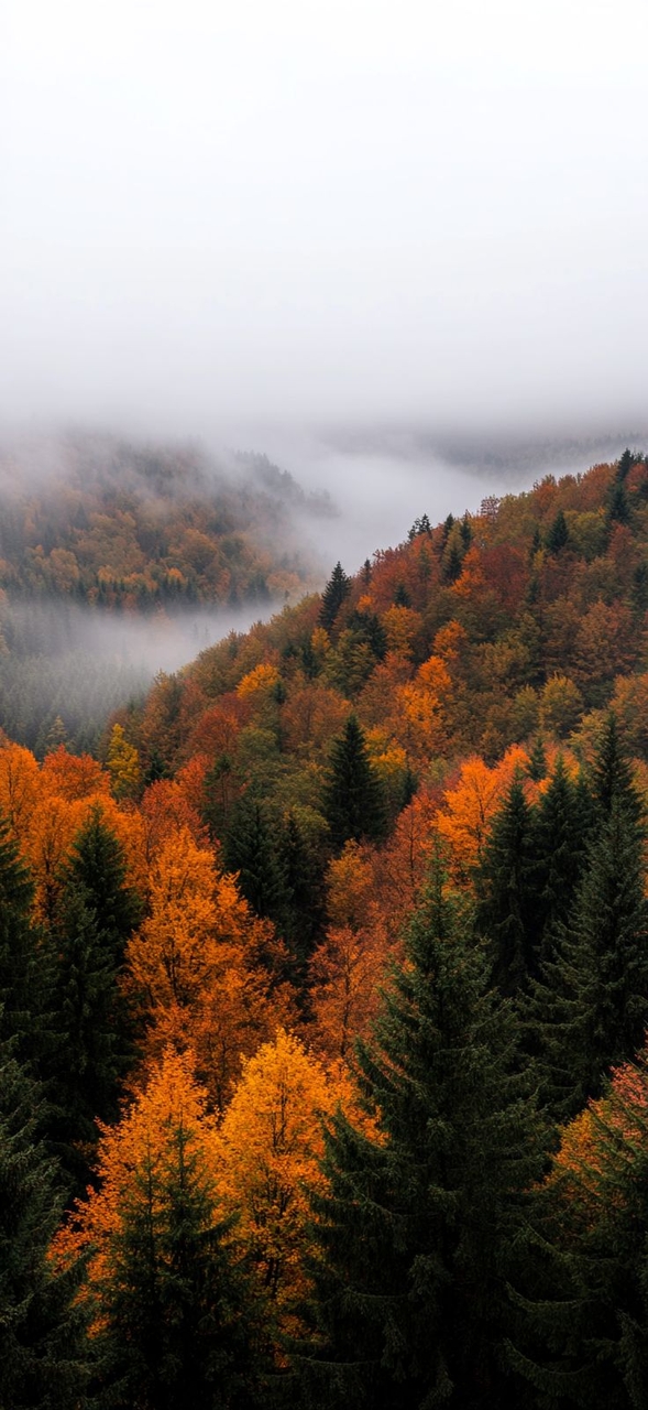 خلفيات larch, mountain