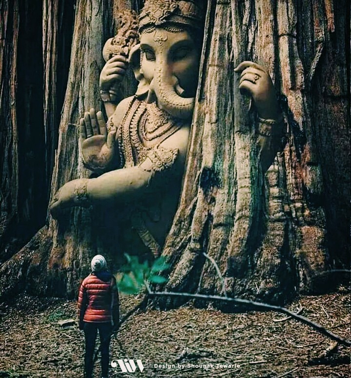 Jai ganesha  ?❤