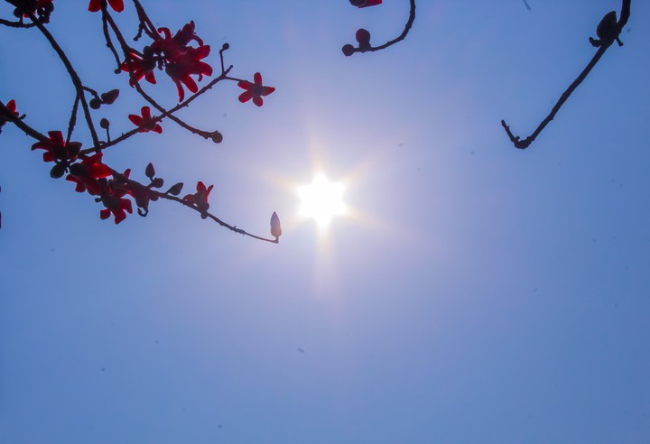 clear sky