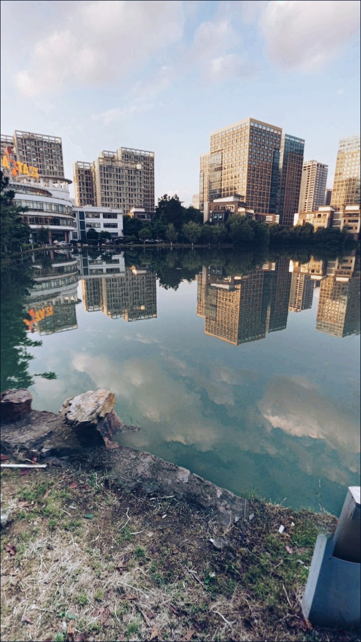 My City