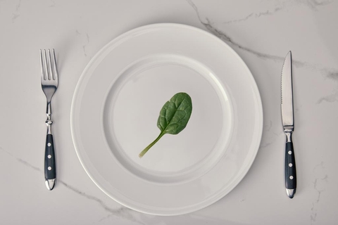 Plate, Ingredient壁纸