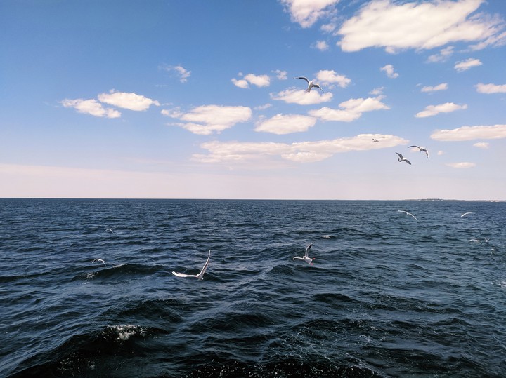 black sea