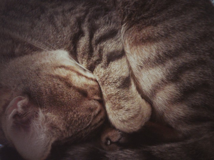 cuddle time