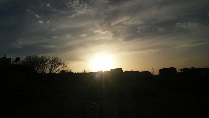 sunlight